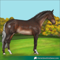 Horse Color:Silver Brown 