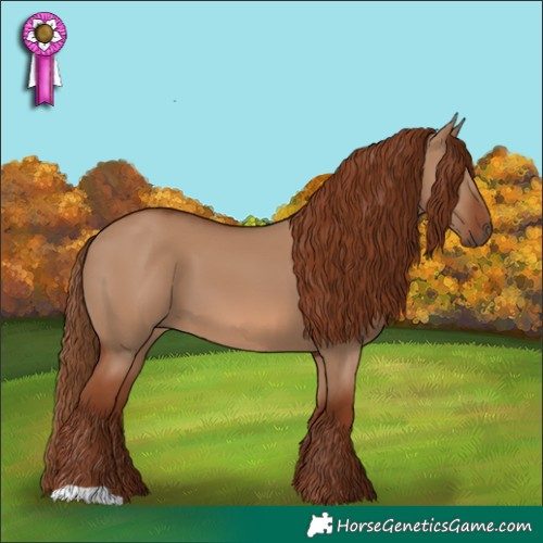 Horse Color:Red Dun 