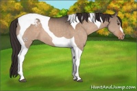 Horse Color:Brown Dun Tobiano Snowcap 