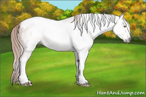Horse Color:Gray Gold Champagne Tobiano 