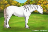 Horse Color:Gray Gold Champagne Tobiano 