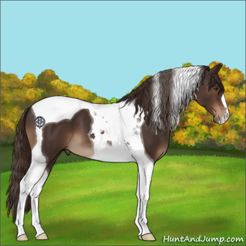 Horse Color:Liver Chestnut Tobiano 