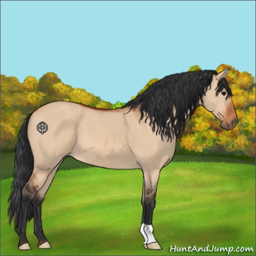 Horse Color:Bay Dun 