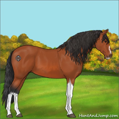 Horse Color:Brown Sabino Tobiano 