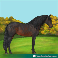 Horse Color:Brown 