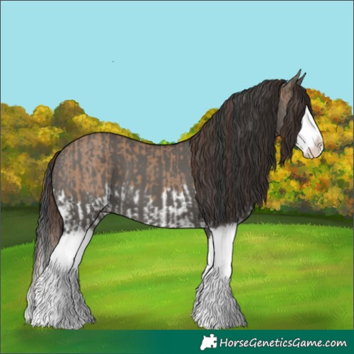 Horse Color:Red Dun Splash  and Grullo Splash 