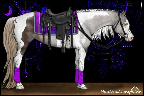 Horse Color:Liver Chestnut Sabino Tobiano 
