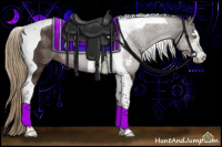 Horse Color:Liver Chestnut Sabino Tobiano 