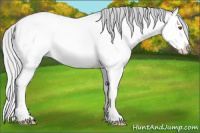 Horse Color:Silver Brown Chinchilla Roan Splash 
