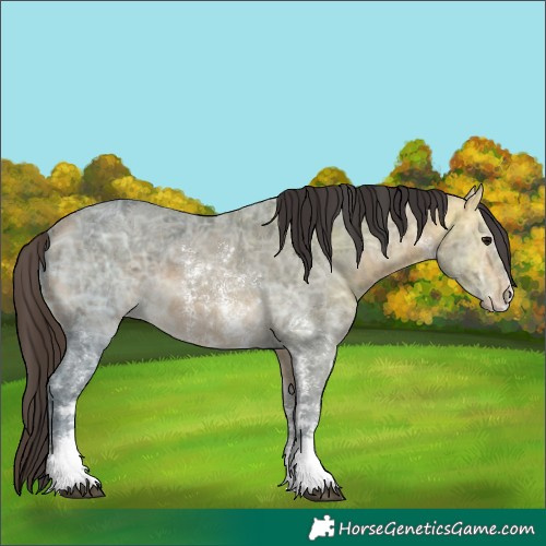 Horse Color:Buckskin Ice Sabino 
