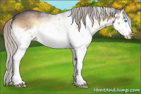 Horse Color:White Spotted Silver Brown Roan Onyx Splash 