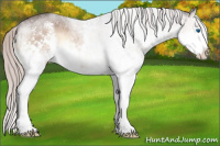 Horse Color:White Spotted Silver Brown Roan Onyx Splash 