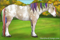 Horse Color:Painted White Spotted Grullo Pearl Appaloosa 