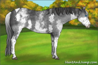 Horse Color:Platinum White Spotted Black Splash Tobiano 