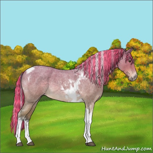 Horse Color:Painted Silver Buckskin Roan Tobiano 
