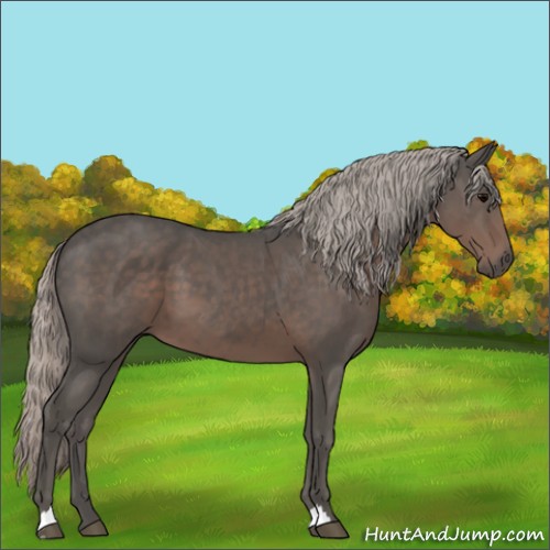 Horse Color:Silver Black 