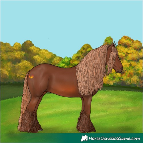 Horse Color:Chestnut 