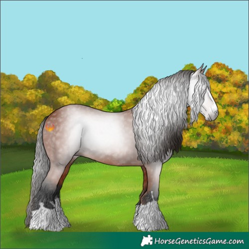 Horse Color:Gray Bay