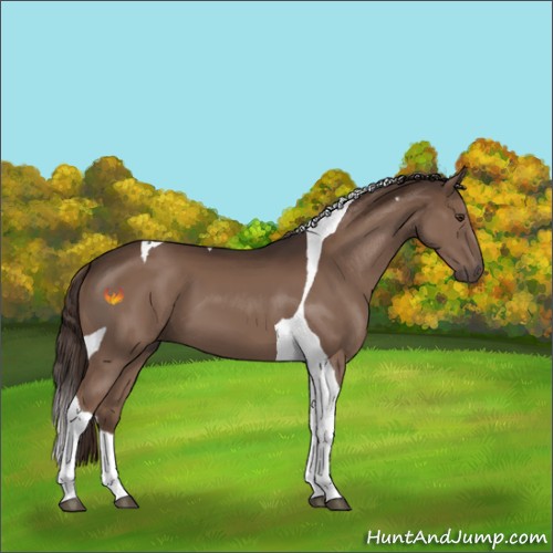 Horse Color:Liver Chestnut Tobiano 