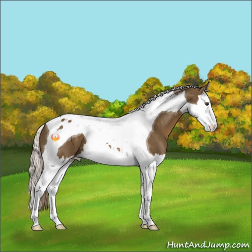 Horse Color:Chocolate Palomino Splash Tobiano 
