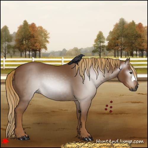 Horse Color:Gray Chestnut 