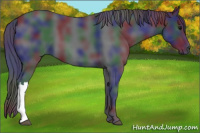 Horse Color:Nacre Black 