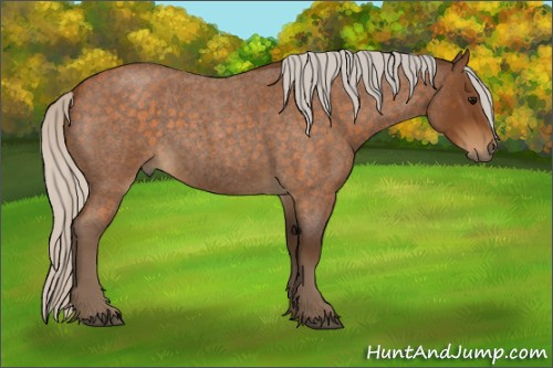 Horse Color:Silver Buckskin Roan 