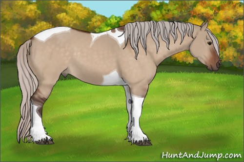 Horse Color:Silver Bay Dun Tobiano 