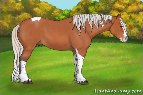 Horse Color:Silver Bay Roan Splash Tobiano 