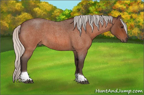 Horse Color:Silver Bay Roan Tobiano 