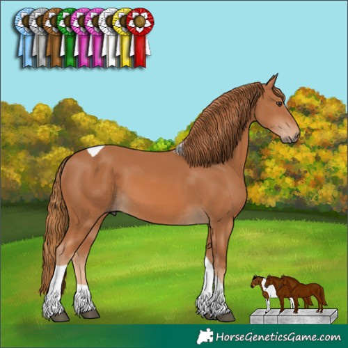 Horse Color:Chestnut Tobiano 