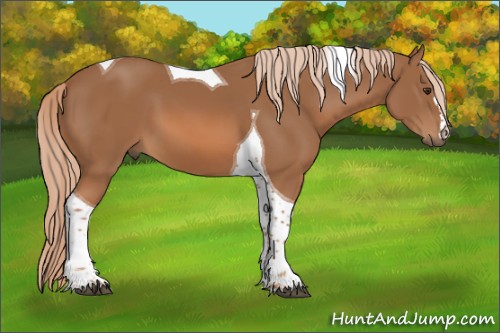 Horse Color:Chestnut Tobiano 