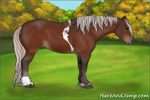 Horse Color:Silver Bay Sabino Tobiano 