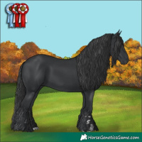 Horse Color:Black 