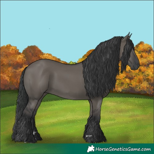 Horse Color:Grullo 