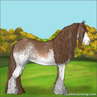 Horse Color:White Spotted Chestnut 