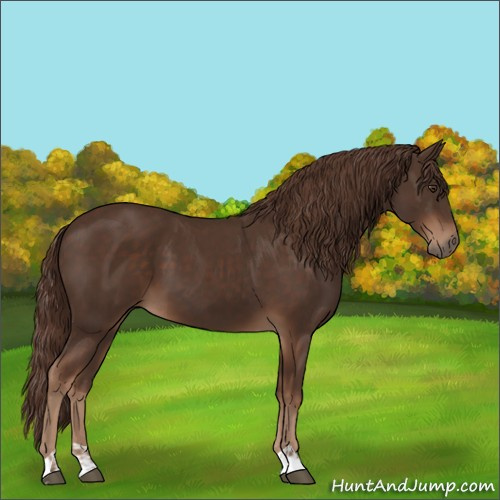 Horse Color:Liver Chestnut  and Liver Chestnut 
