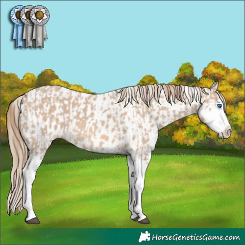 Horse Color:Red Dun Splash  and Red Dun Splash Near Leopard 