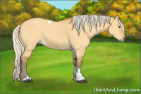 Horse Color:Silver Buckskin Dun Tobiano 