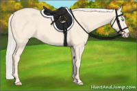 Horse Color:Cremello 
