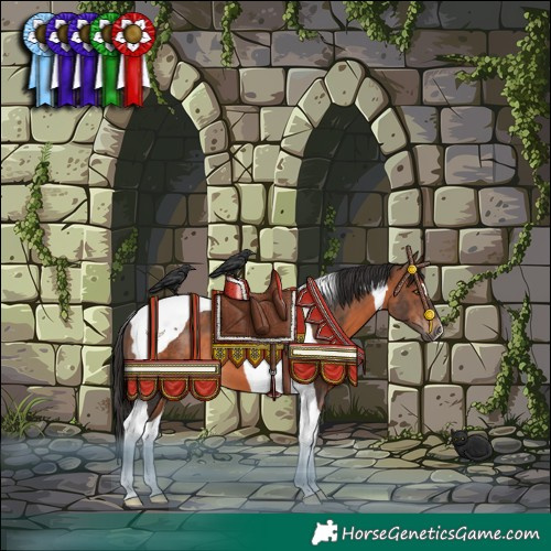Horse Color:Brown Tobiano