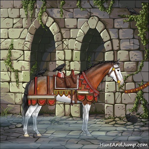 Horse Color:Brown Splash Rabicano 