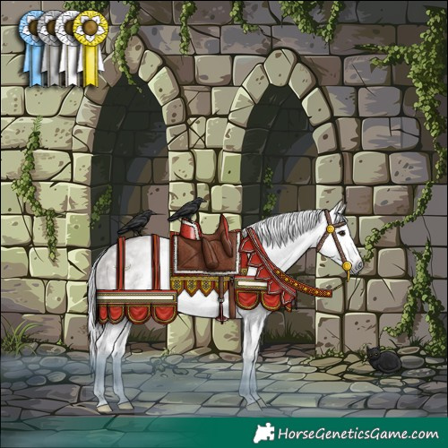 Horse Color:Gray Smoky Grullo Splash Rabicano 