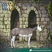 Horse Color:Gray Smoky Grullo Splash Rabicano