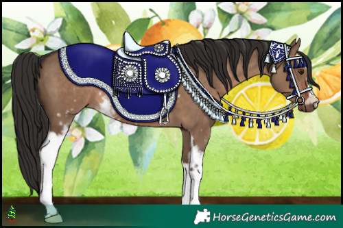 Horse Color:White Spotted Liver Red Dun