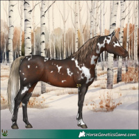 Horse Color:White Spotted Liver Chestnut 