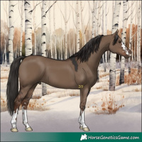 Horse Color:Liver Red Dun 