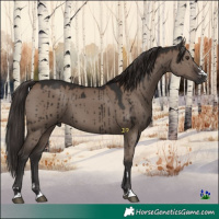 Horse Color:Liver Red Dun Brindle 