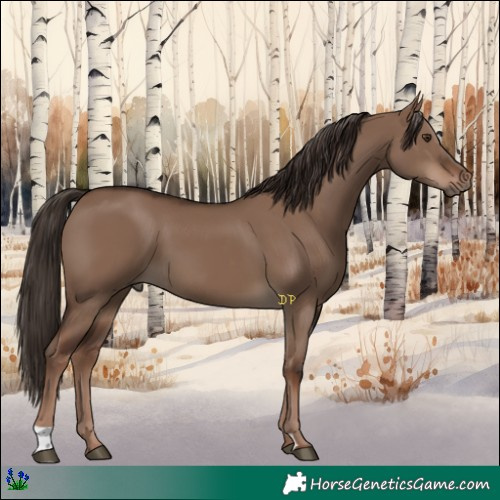 Horse Color:Liver Red Dun 