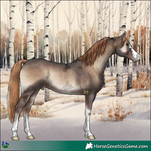 Horse Color:Liver Red Onyx Ice Rabicano